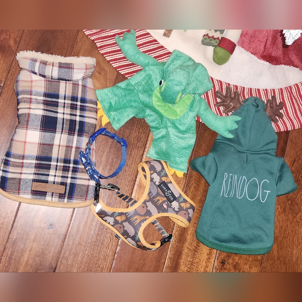 Dog Size SMALL, jacket, costume, collar, harness, and hoodie